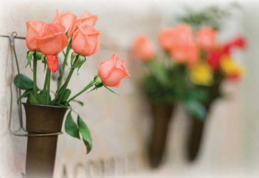 Mausoleum niches for cremated remains