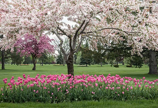 The Garden of Togetherness