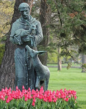 Francis Of Assisi, The Garden Of Love
