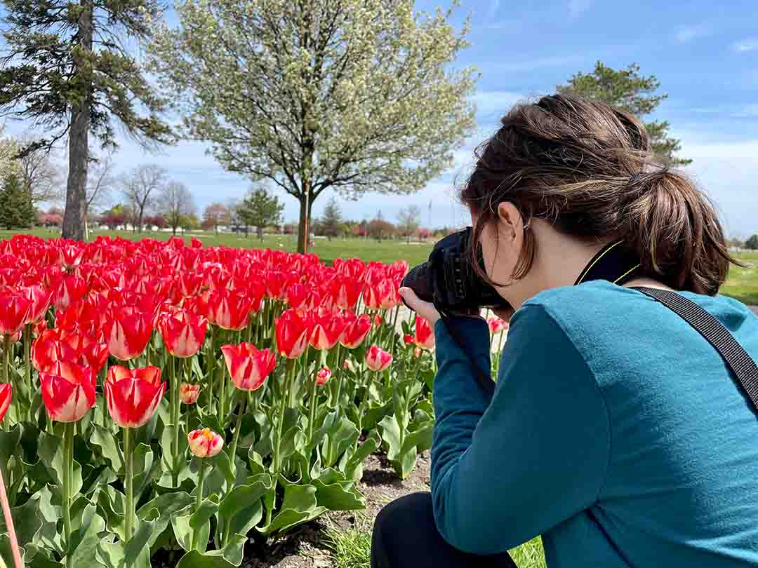 2019 Tulip Festival Photography Contest Winner by Lakeesha Morrison of Royal Oak