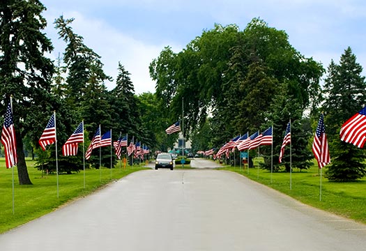 Veteran's Day flag display