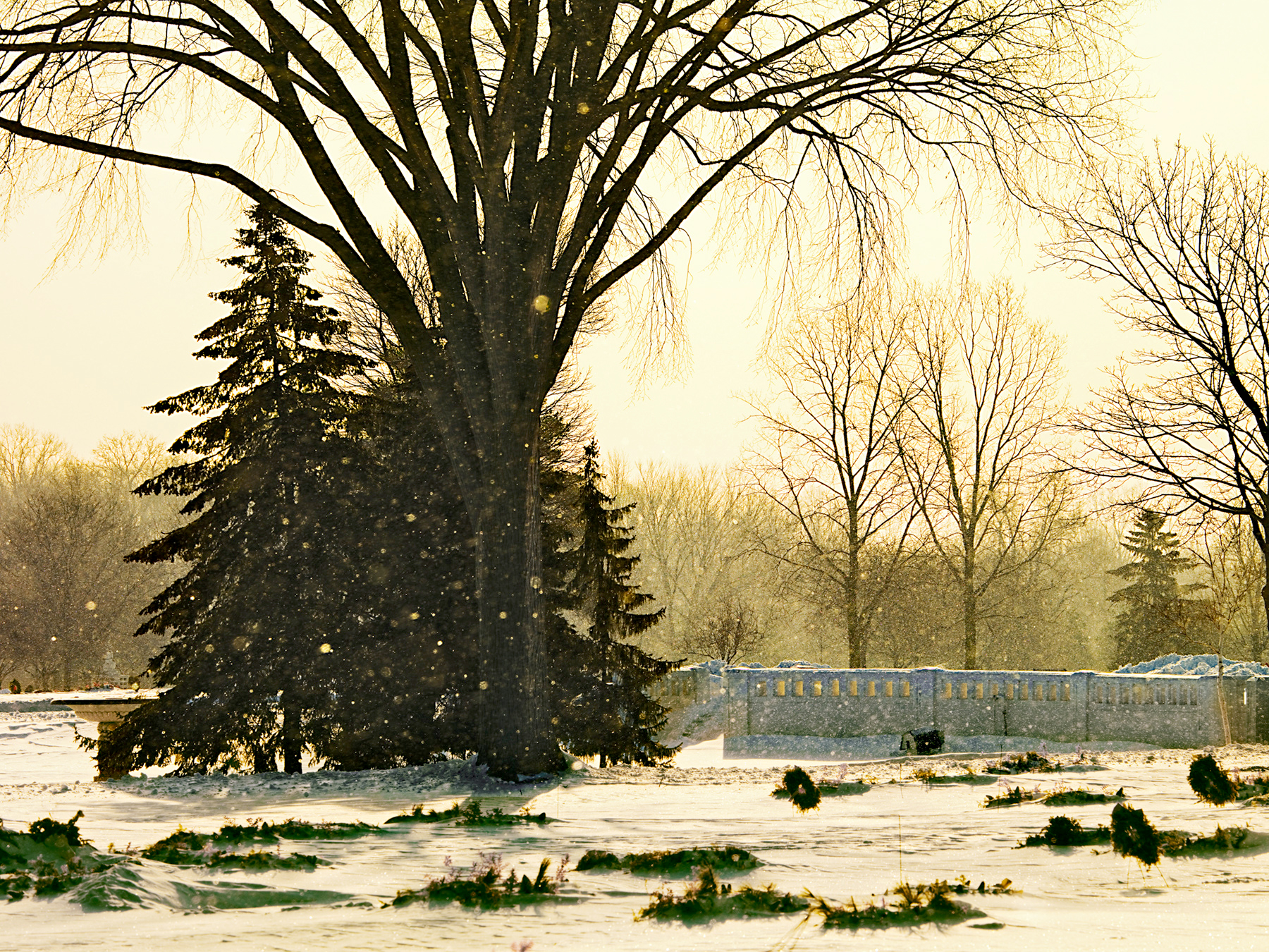 Winter at White Chapel